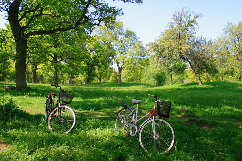 Chattanooga Parks